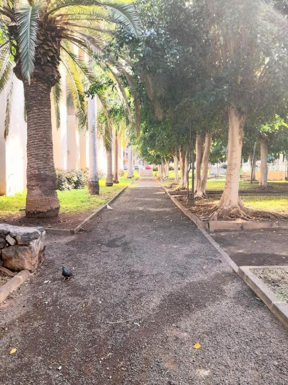 Aparthotel Alfa Omega Puerto de la Cruz  Zewnętrze zdjęcie